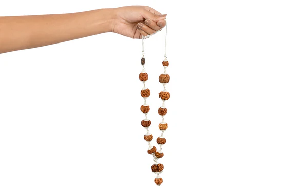 1-14 mukhi Rudraksh mala ( siddha mala) including puja with Your Name and Gotra (  without silver cap ) 2