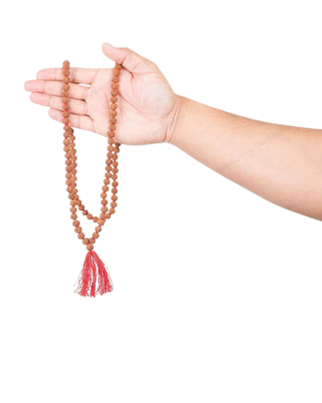 6 Mukhi Japa Rudraksha Mala 2