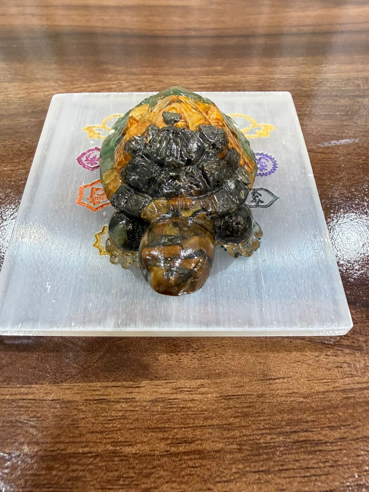 Vastu Dhan Yog Tortoise (Kachua) for Wealth, Prosperity & Protection