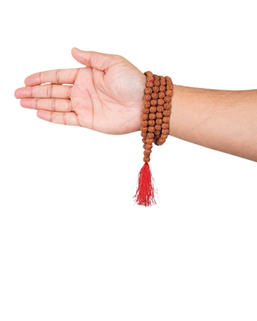 6 Mukhi Japa Rudraksha Mala 3