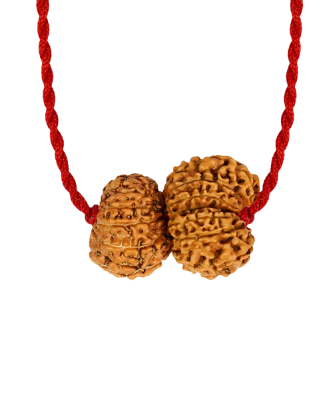 Shukra-Shani Vyapar Rajyog Kavach