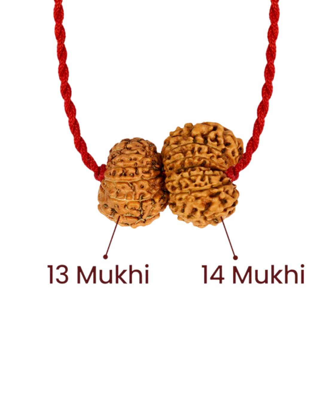 Shukra-Shani Vyapar Rajyog Kavach 2