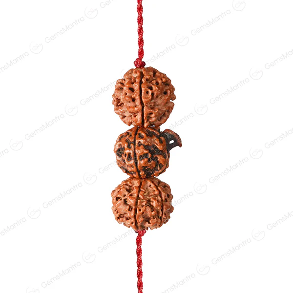 Dhan Laxmi Ganesh Kawach 3