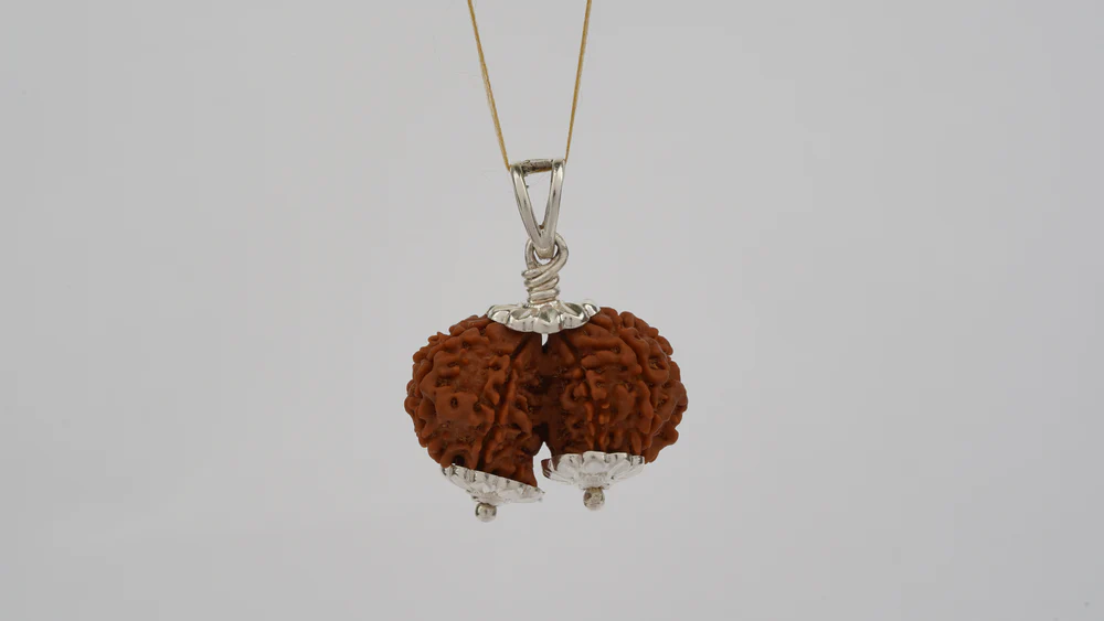 Natural Gauri Shankar Rudraksha 2