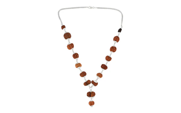 1-14 mukhi Rudraksh mala ( siddha mala) including puja with Your Name and Gotra (  without silver cap )
