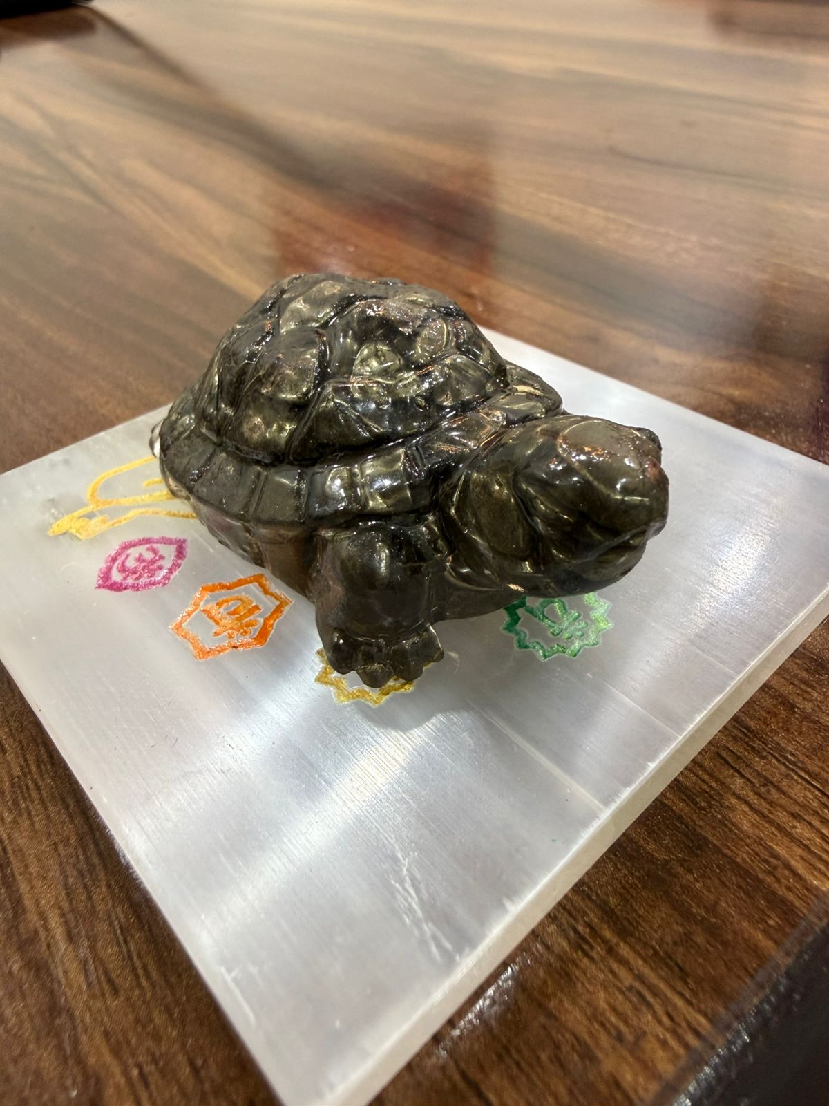 The Vastu Pyrite Tortoise