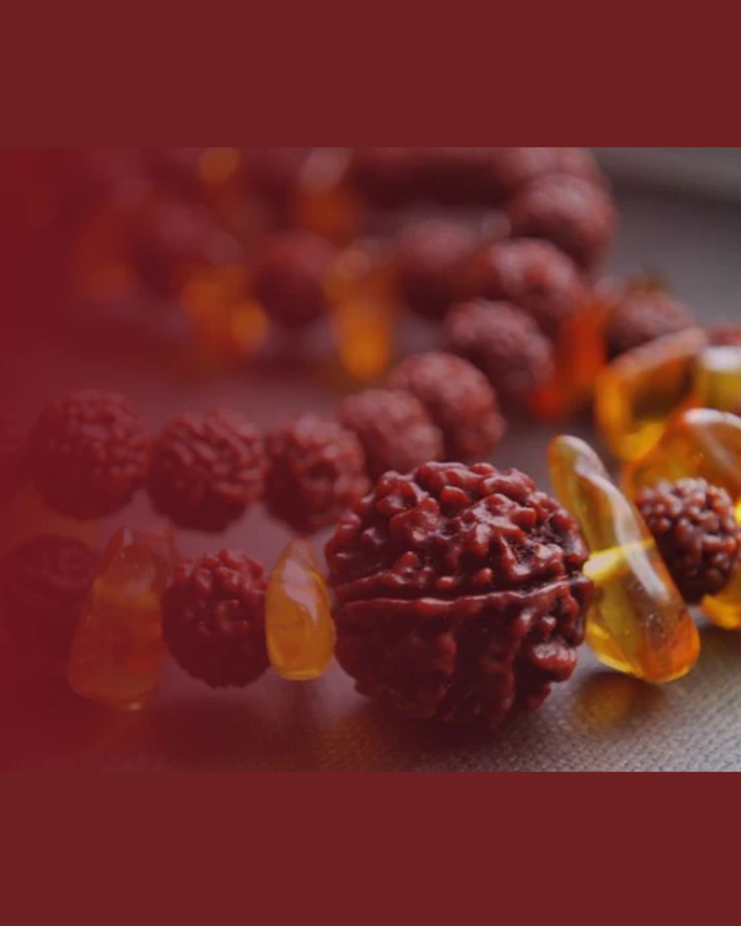 Natural 2 Mukhi Rudraksha (Indian) 2