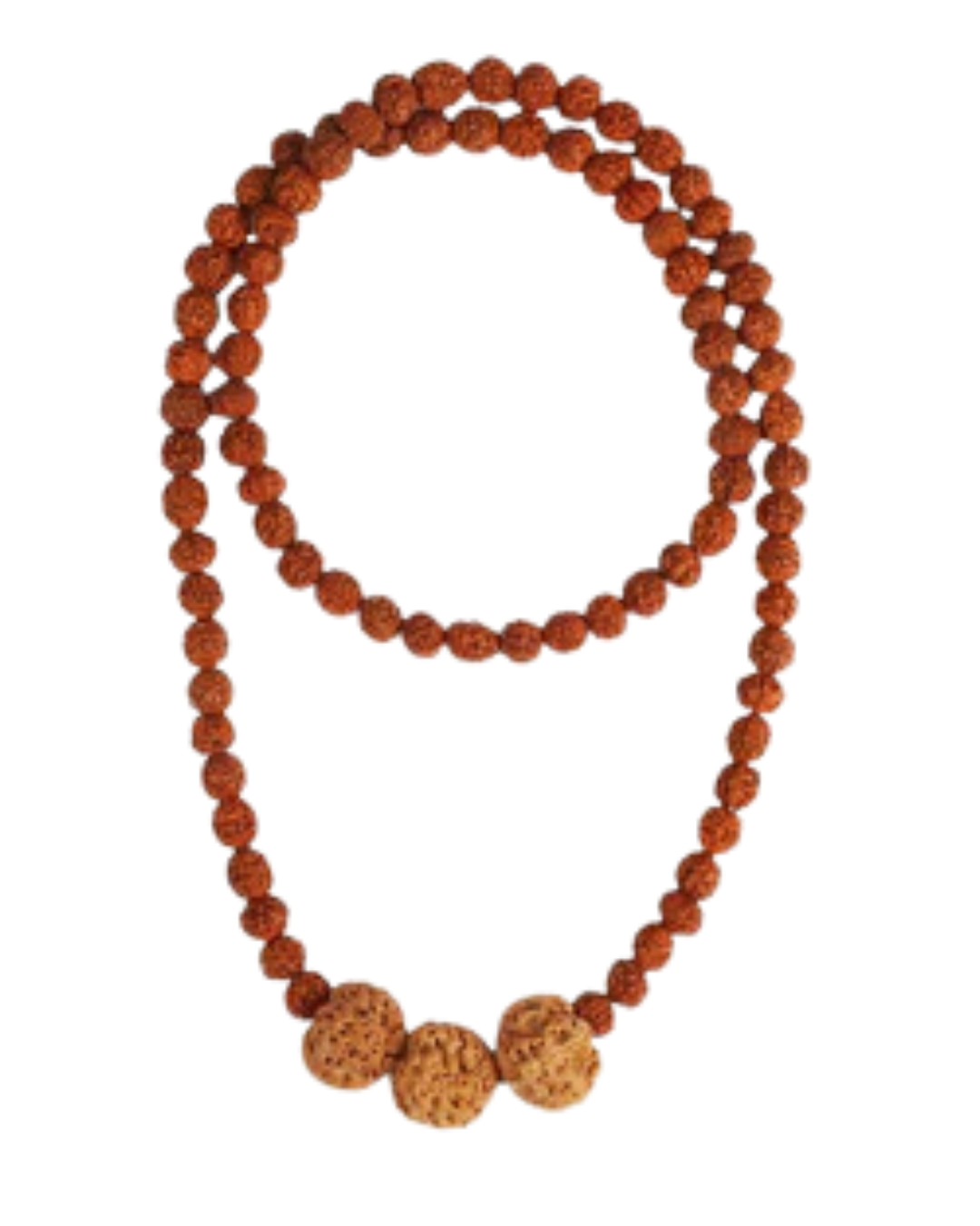 Vidya Vriddhi Mala - 4 Mukhi and 5 Mukhi Rudraksha