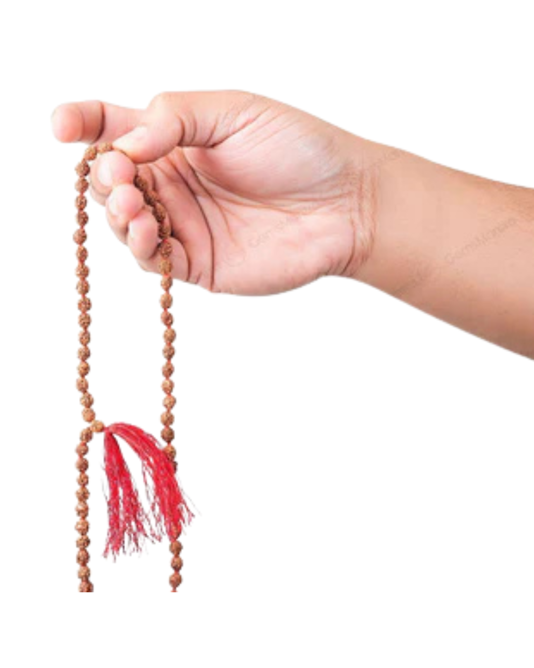 2 Mukhi Japa Rudraksha Mala 3