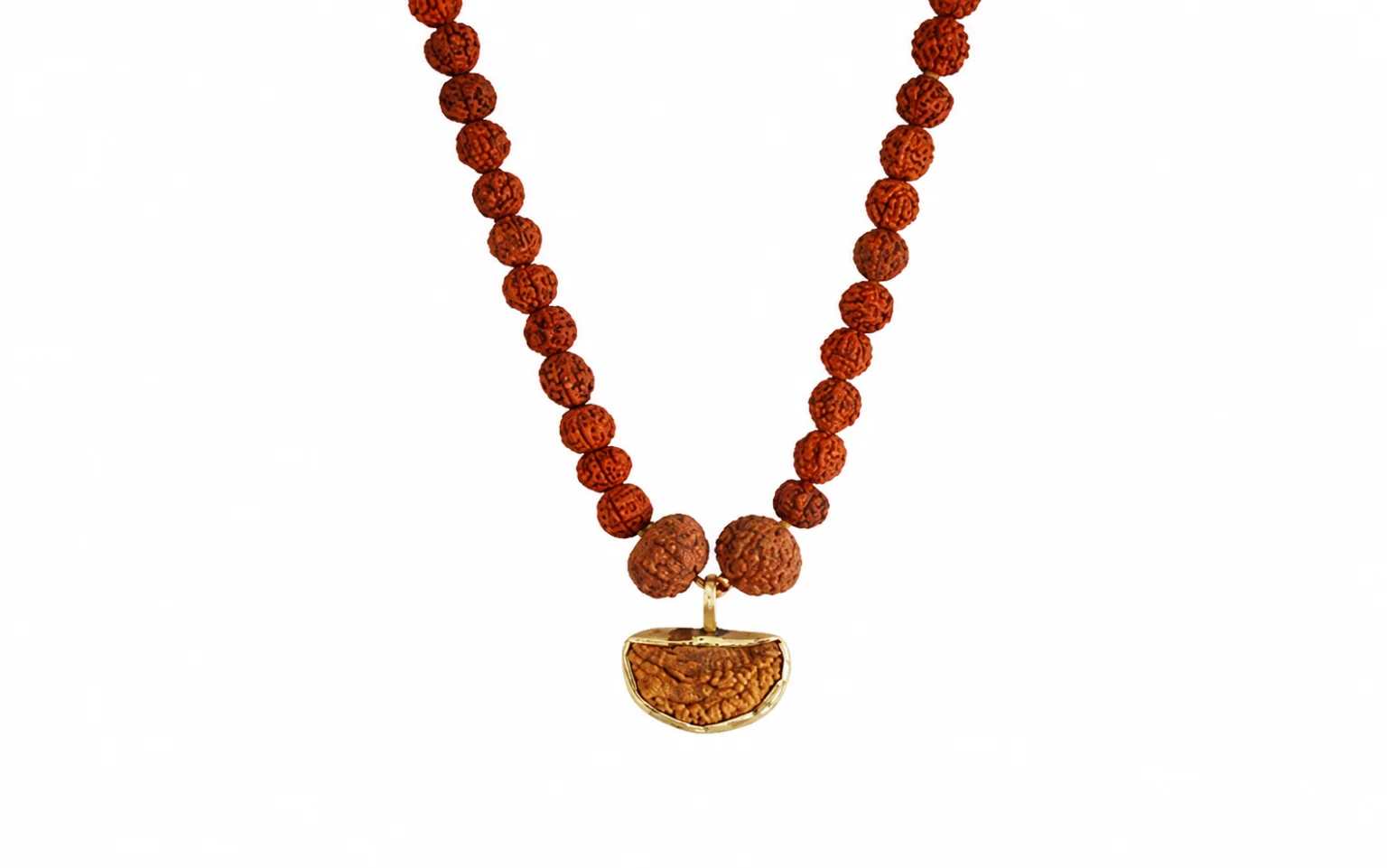Dhanlaxmi Vriddhi mala mala 1 mukhi and 9 mukhi and 5 mukhi