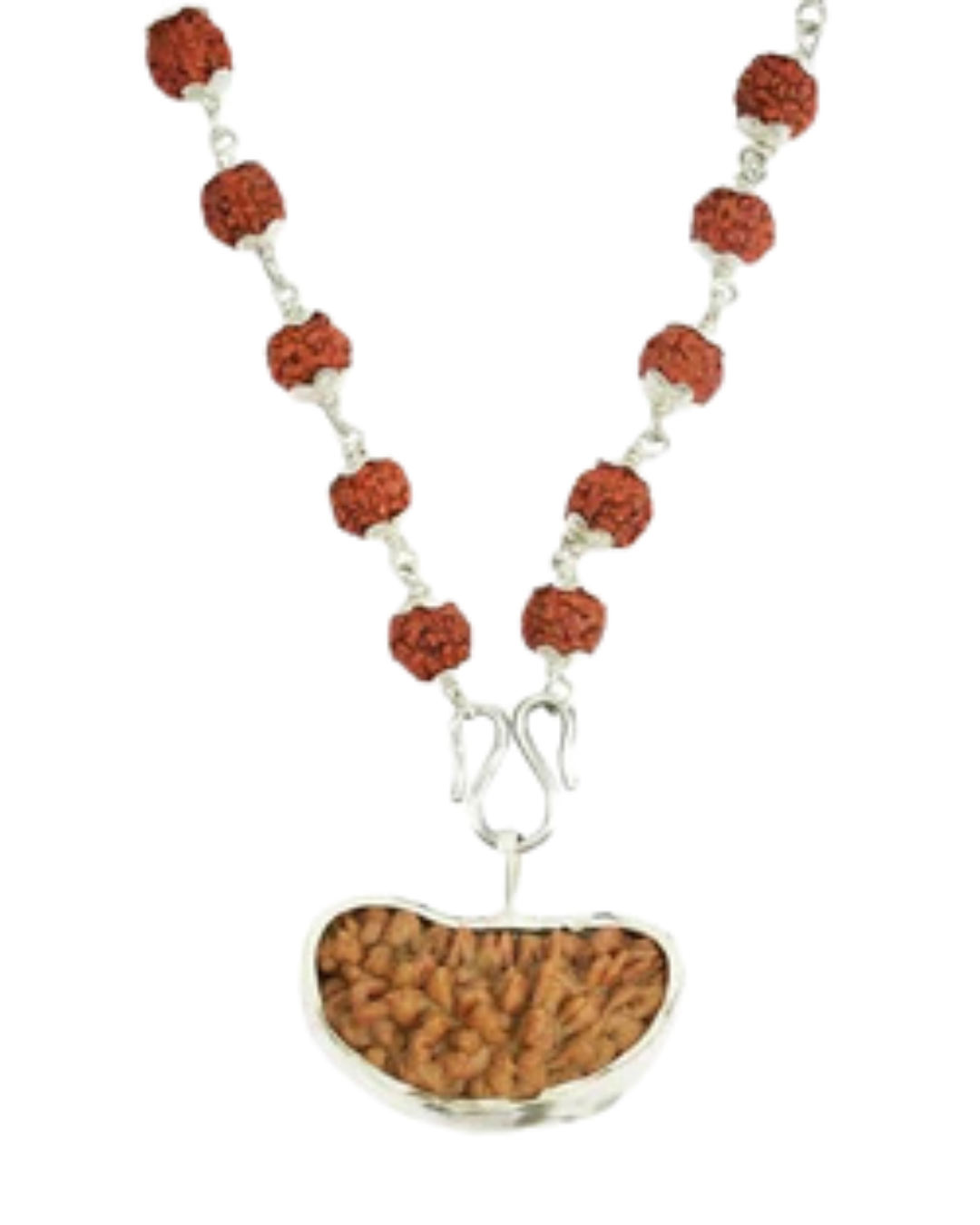 5 Mukhi Silver Rudraksha Mala - with Natural 1 Mukhi Rudraksha Pendant 2