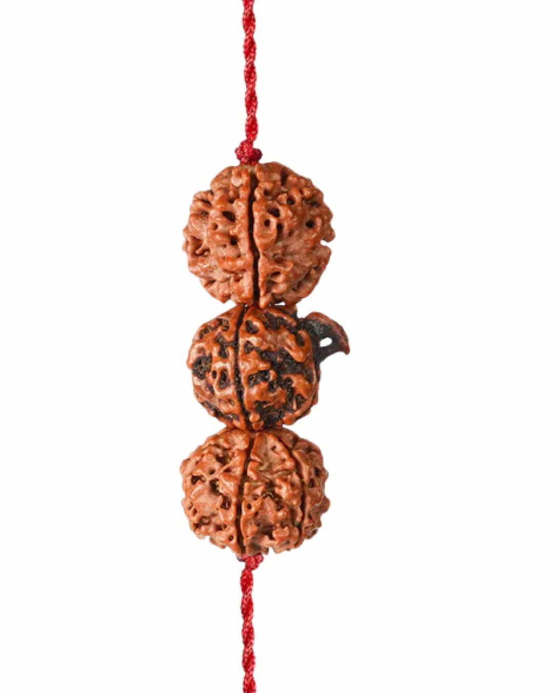  Saraswati Gyaan Kawach with Free Certification ( without silver cap ) 2