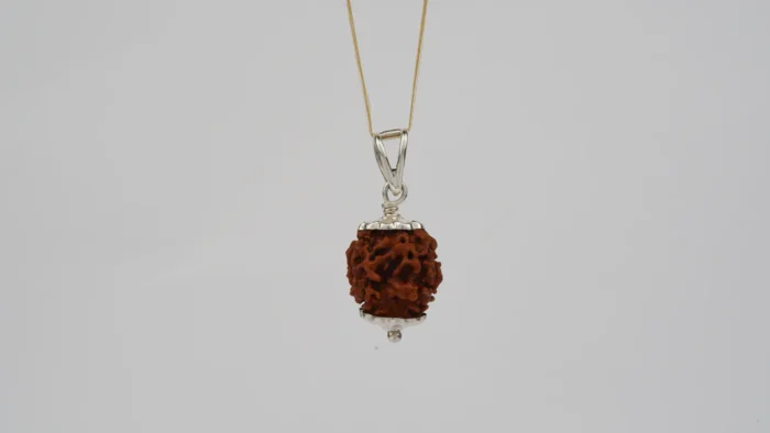 Natural 3 Mukhi Rudraksha (Nepali) 5