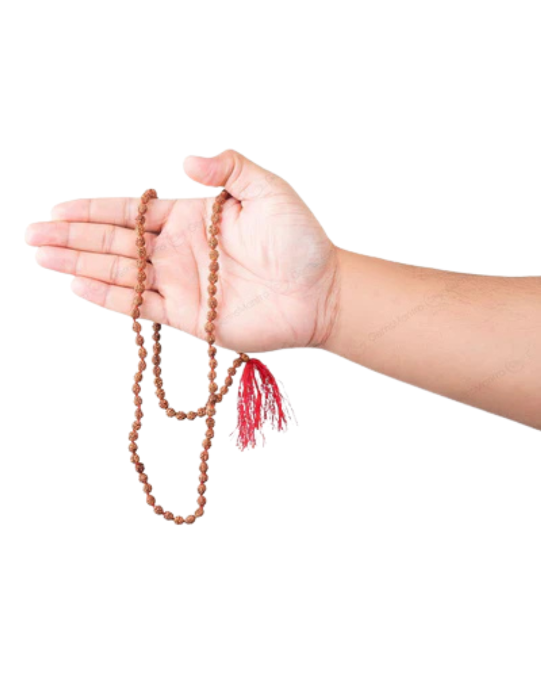 2 Mukhi Japa Rudraksha Mala 2