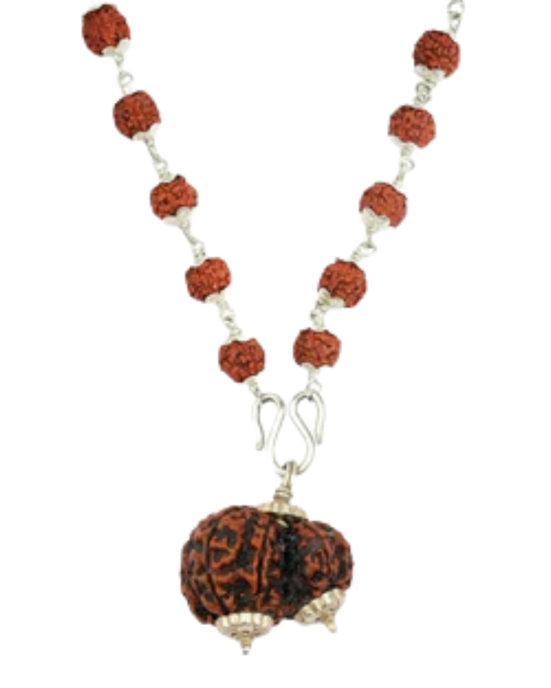 5 Mukhi Silver Rudraksha Mala - with Natural Garbh-Gauri Rudraksha Pendant 2