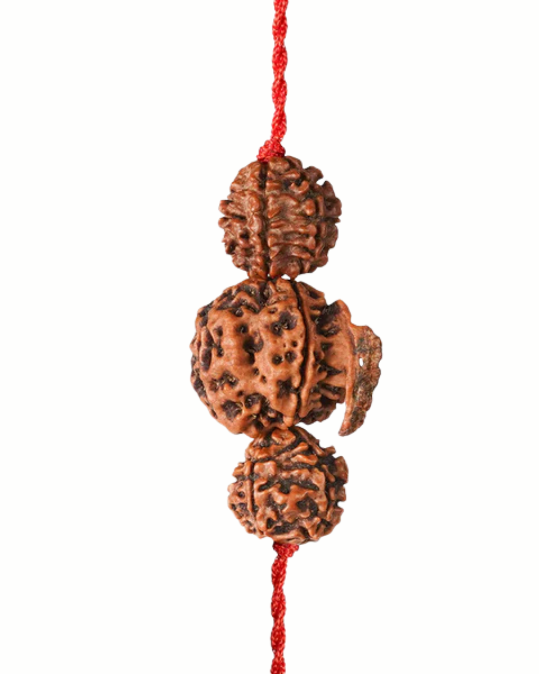  Dhan Laxmi Ganesh Kawach with Free Certification ( without silver cap ) 4