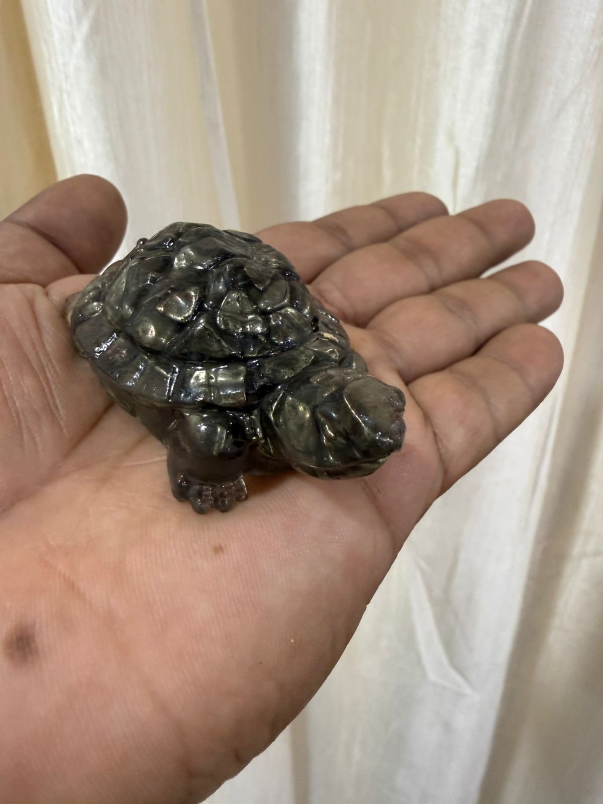 The Vastu Pyrite Tortoise 3