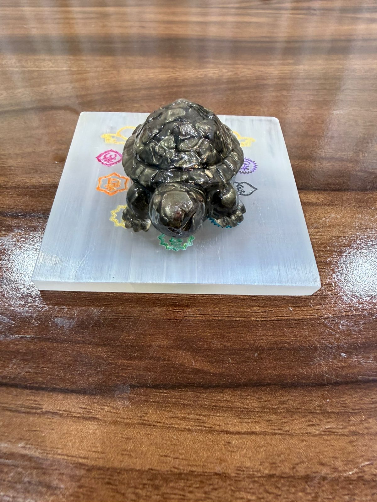 The Vastu Pyrite Tortoise 2