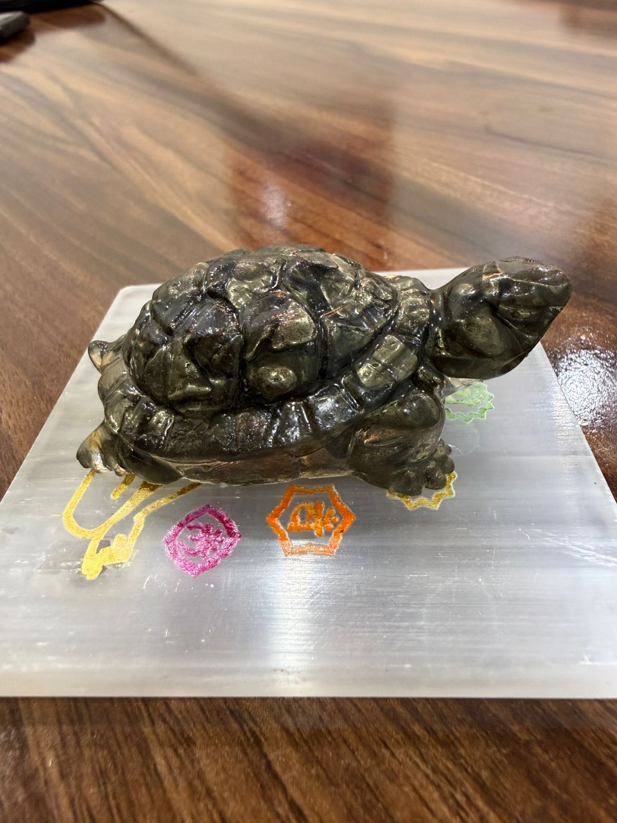 The Vastu Pyrite Tortoise 4