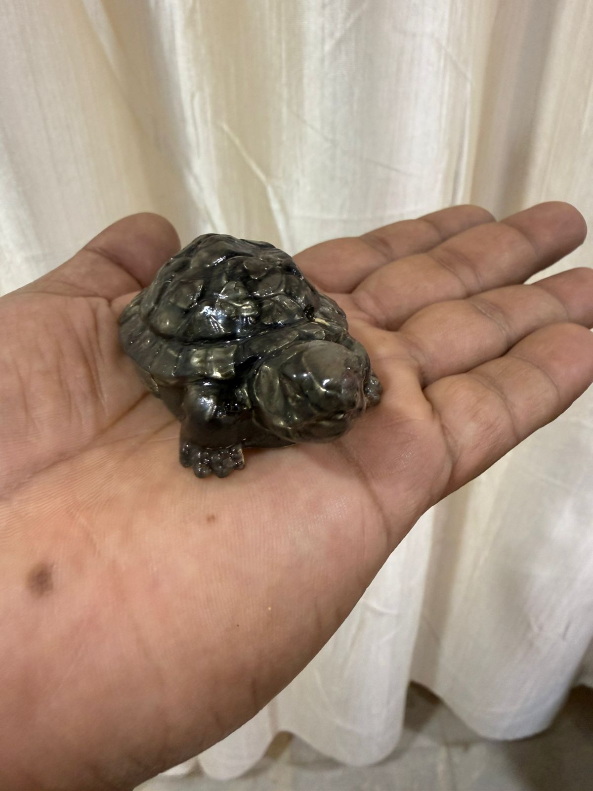 The Vastu Pyrite Tortoise 5