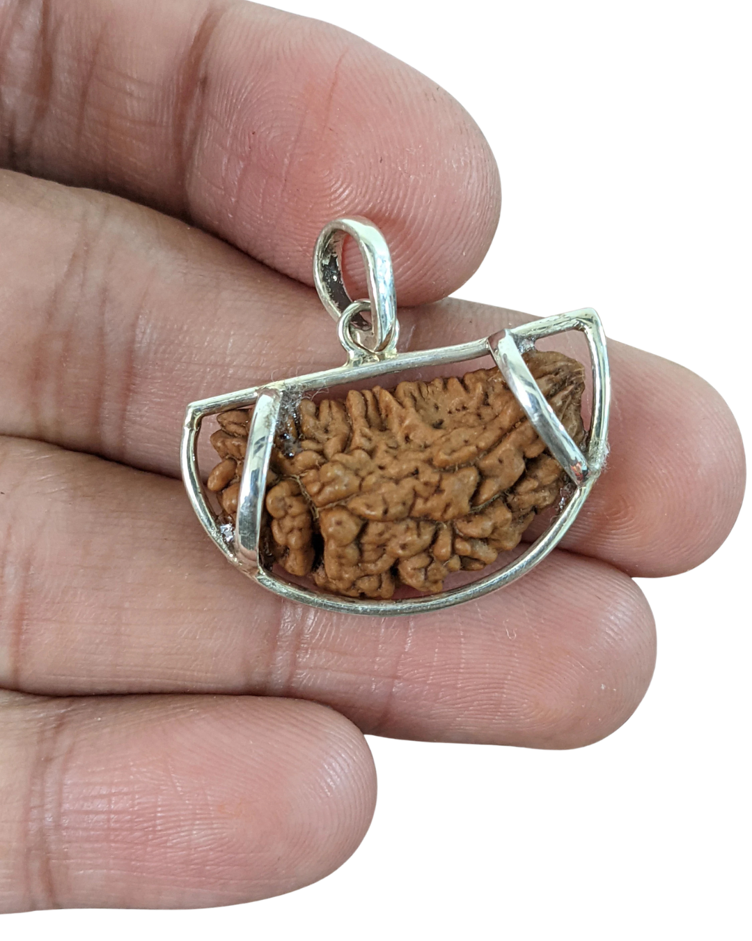 Natural 1 Mukhi Rudraksha (without Silver Pendant) - Indian