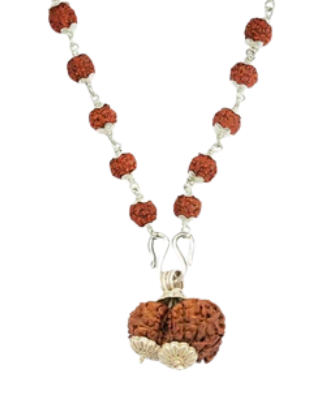 5 Mukhi Silver Rudraksha Mala - with Natural Gauri-Shankar Rudraksha Pendant 2