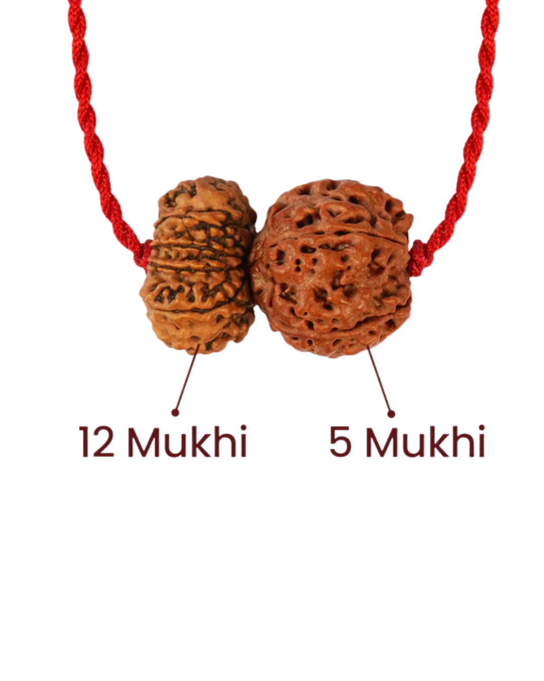 Guru-Surya Rajyog Satta Prabhav Kavach 2