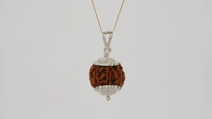 Natural 7 Mukhi Rudraksha (Nepali) 3